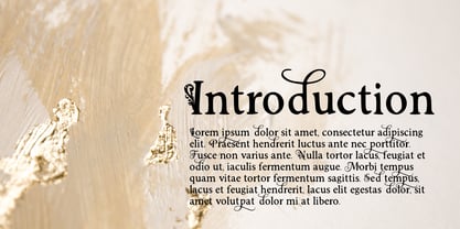 Murisa Agnelli Font Poster 3