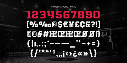 Sportball Font Poster 11