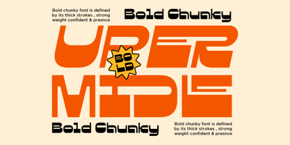 Krisle Font Poster 9