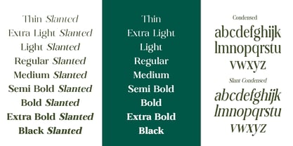 Dravion Soft Font Poster 3