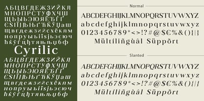 Dravion Soft Font Poster 4