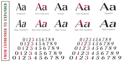 Dravion Soft Font Poster 5