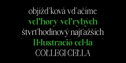 Falefion Font Poster 4