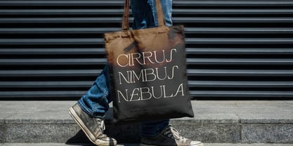 Cardelo Font Poster 7