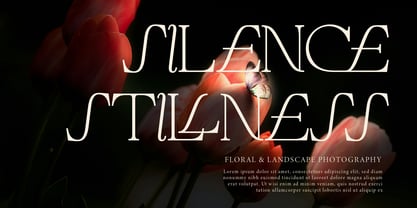 Cardelo Font Poster 3