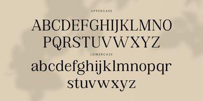Avelrune Font Poster 15