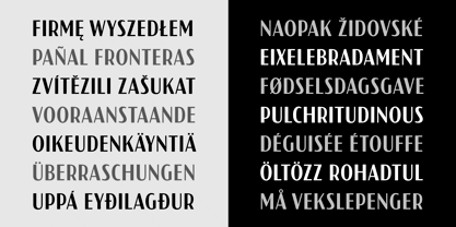 Sonrisa Font Poster 5