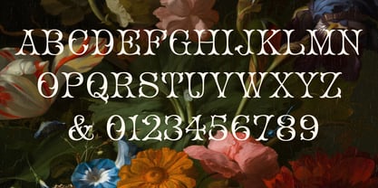 Coladero Font Poster 7