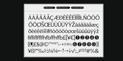 Helsika Font Poster 15