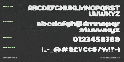 Slugora Font Poster 5