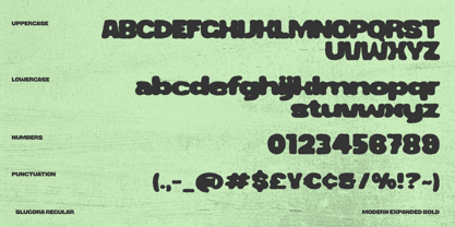 Slugora Font Poster 6