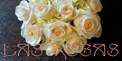 Samira Font Poster 2