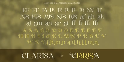 Sinnora Delloris Font Poster 9