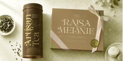Sinnora Delloris Font Poster 4