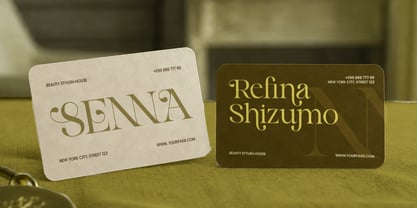 Sinnora Delloris Font Poster 7