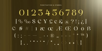 Sinnora Delloris Font Poster 11