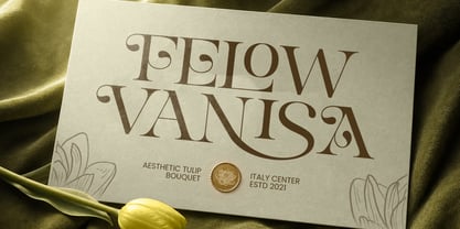Sinnora Delloris Font Poster 3