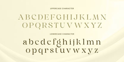 Sinnora Delloris Font Poster 10