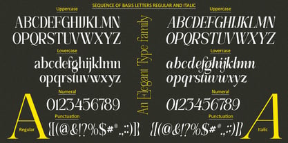 Govelia Font Poster 15