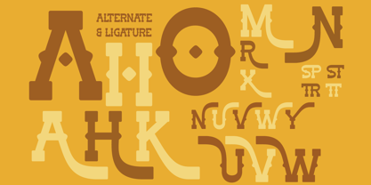Outlaw Major Font Poster 9