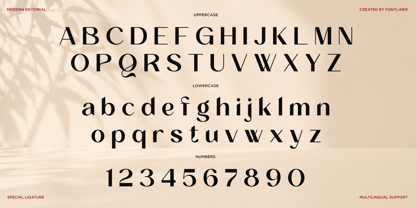 Amoora Font Poster 9