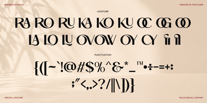 Amoora Font Poster 10