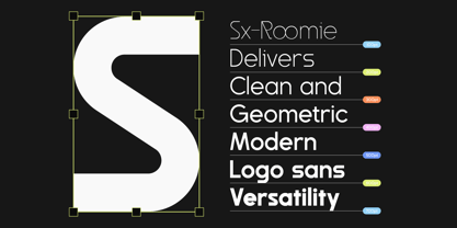 Sx Roomie Font Poster 2