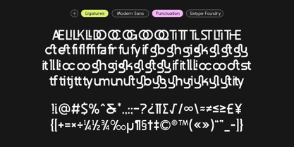 Sx Roomie Font Poster 12