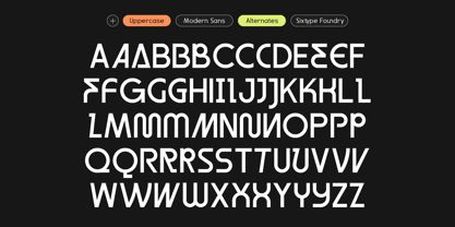 Sx Roomie Font Poster 10