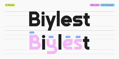 Sx Roomie Font Poster 5