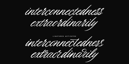 Romantic Romance Font Poster 14
