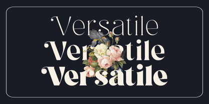 Sugar Magic Serif Font Poster 7
