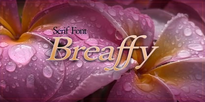 Breaffy Font Poster 1