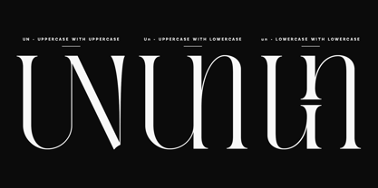Evertype Font Poster 13