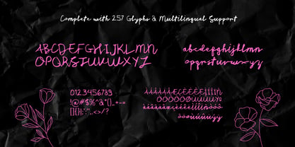 Nisaya Script Font Poster 3