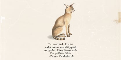 Unexpected Typewriter Font Poster 4