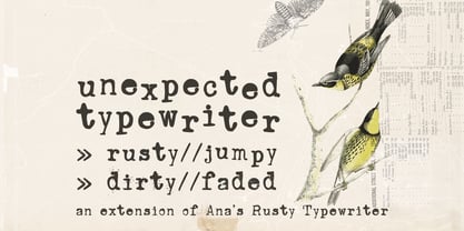 Unexpected Typewriter Font Poster 1