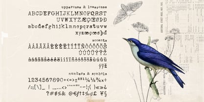 Unexpected Typewriter Font Poster 2