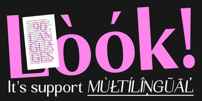 Seghan Elegant Font Poster 11