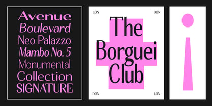 Seghan Elegant Font Poster 10