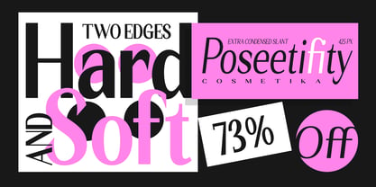 Seghan Elegant Font Poster 5