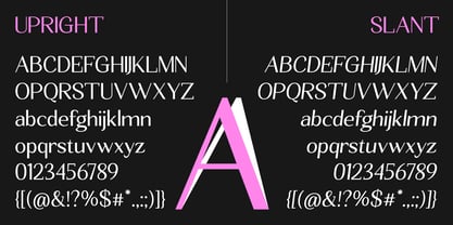 Seghan Elegant Font Poster 4
