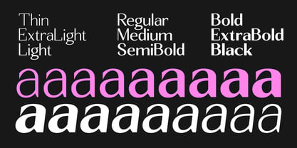 Seghan Elegant Font Poster 2
