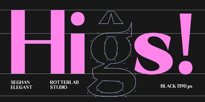 Seghan Elegant Font Poster 12