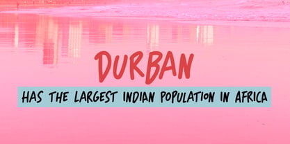 Bunny Chow Pro Font Poster 4