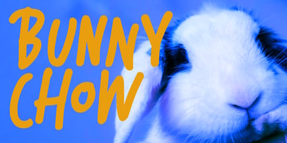 Bunny Chow Pro Font Poster 1