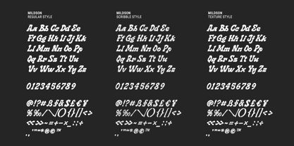 Mildson Font Poster 10