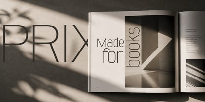 Prixma Sans Font Poster 8