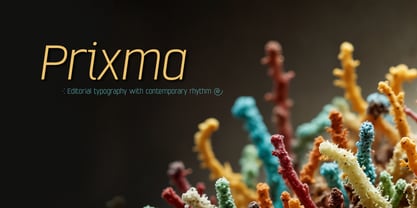 Prixma Sans Font Poster 12
