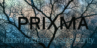 Prixma Sans Font Poster 14